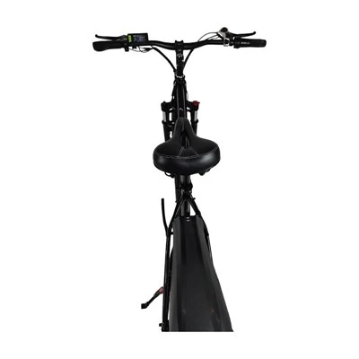 26 Inch Electric Bike