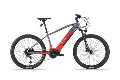 Adult Electric City Bikes