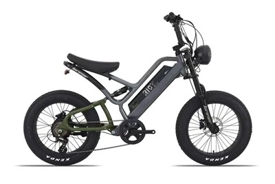 Adult Electric Mountain Bike