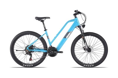 Adult Electric Road Bike