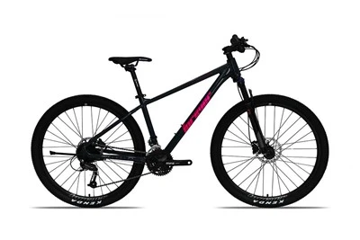 Adult Mountain Bike