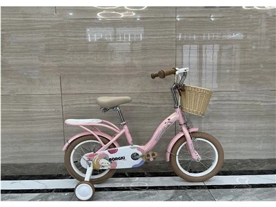 Children Bicycle Girl