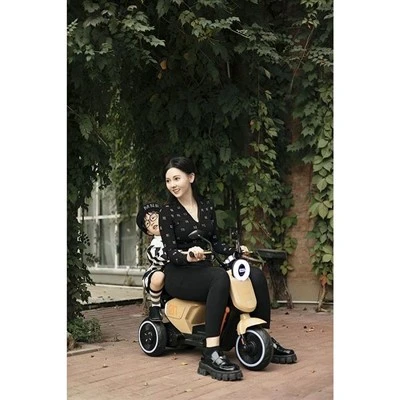 Children Electric Tricycle