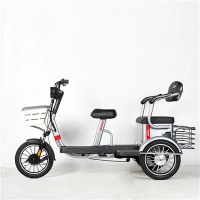 E Trikes for Seniors