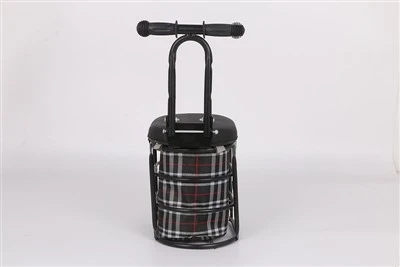 Electric Bicycle Storage Seat