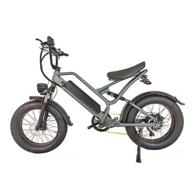 Electric Mountain Bikes for Adults