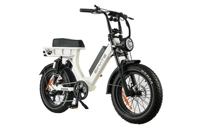 Fat Tire Mountain Electric Bike