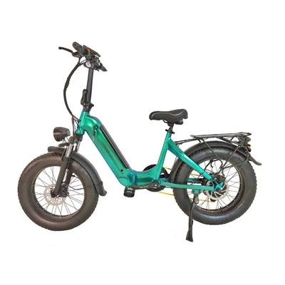 Folding Fat Tire Electric Bicycle with