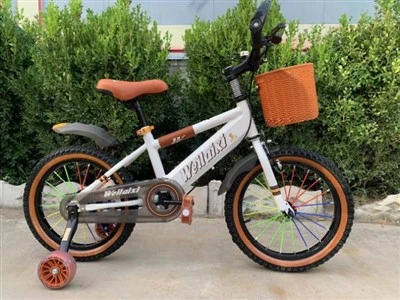 Kids 12 Inch Bike