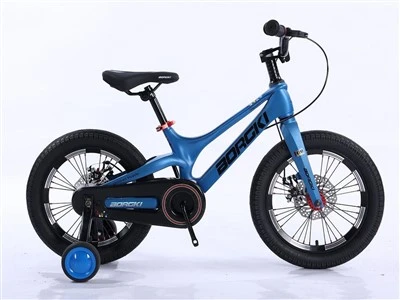 Magnesium Alloy Children Bicycle with Training Wheels