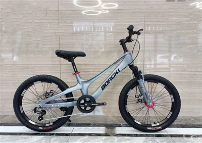 Magnesium Alloy Children Bicycle