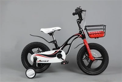Magnesium Alloy Frame Bicycle
