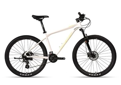 Mountain Bike Adult