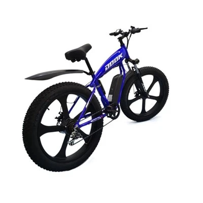 Off Road Electric Bike