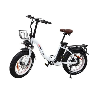 Removable Battery Electric Bicycle