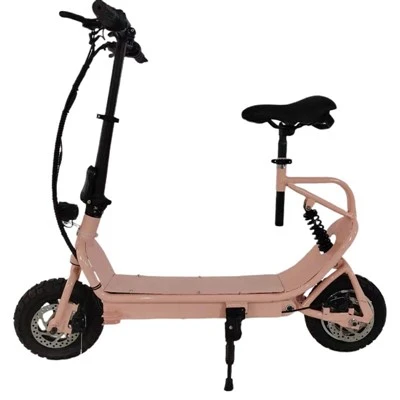Small Electric Bicycle