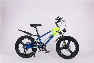 Teen Bike