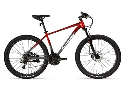 Trail Mountain Bike for Adults