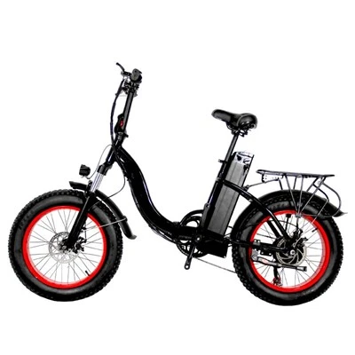 Wide Tire Electric Bike