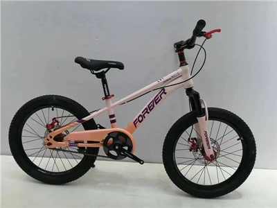 16 Inch Cycle