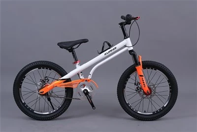 16 Inch Mountain Bike