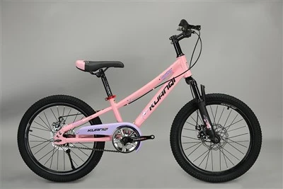 20 Inch Bicycle