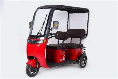 3 Wheeler Electric Bike