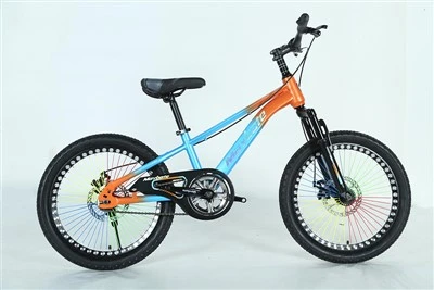 Colorful Children Bicycle