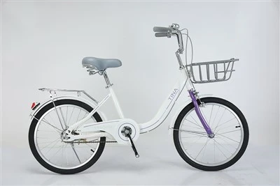 Durable High Carbon Steel Girls Bicycle