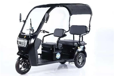 Electric Three Wheel Bikes