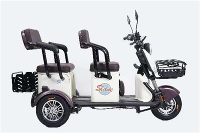 Electric Trike Bike