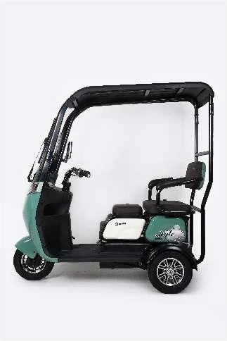 Electric Trike