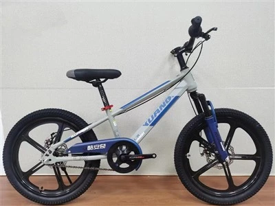 Junior Mountain Bikes