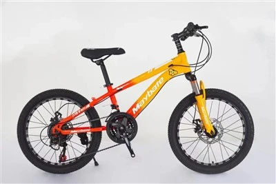 Teen Bicycles