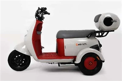 Tricycle Electric Bike